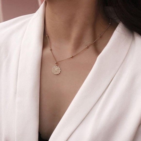 Gold Zodiac Coin w/Ball Bead Chain - Picture 4 of 16